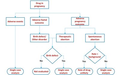 Post-marketing Evaluation of Pregnancy Exposure