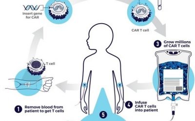 Asset Prioritization – Cell Therapy