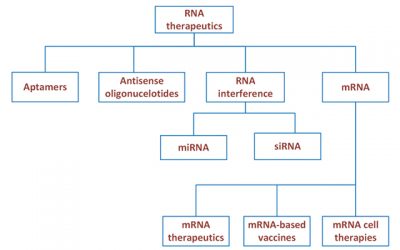 RNA Therapeutics for Monogenic Rare Diseases