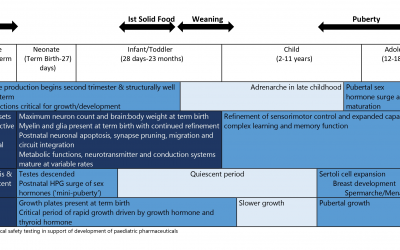 Pediatric Drug Development: Safety Considerations Beyond Age Two