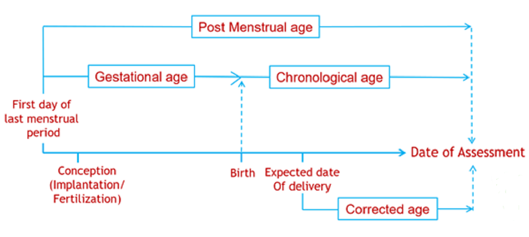 Pediatric Drug Development