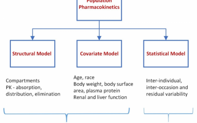 Population PK for the Physician Scientist