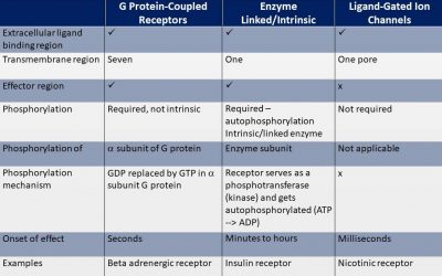 Cell Surface Receptors